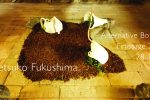 Finissage „Alternative Botanik“ von Setsuko Fukushima muss leider entfallen – infolge von Corona